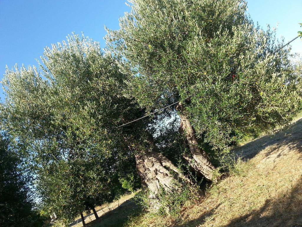 Masseria Marico Castellaneta Bagian luar foto