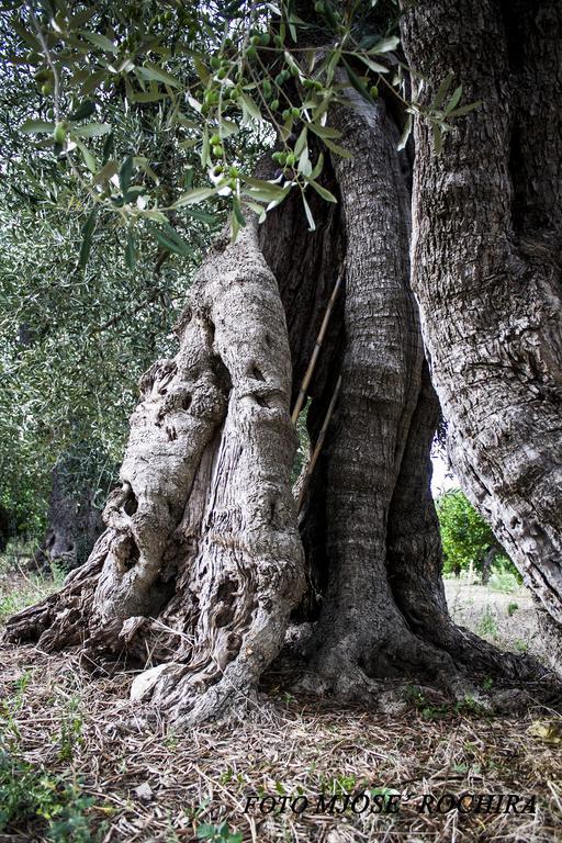 Masseria Marico Castellaneta Bagian luar foto