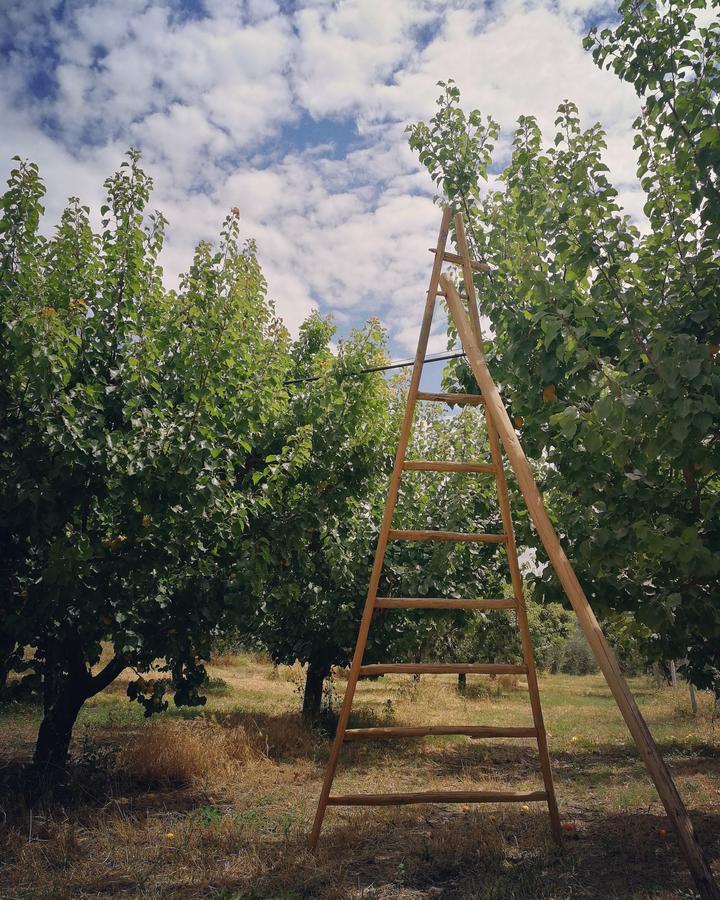 Masseria Marico Castellaneta Bagian luar foto