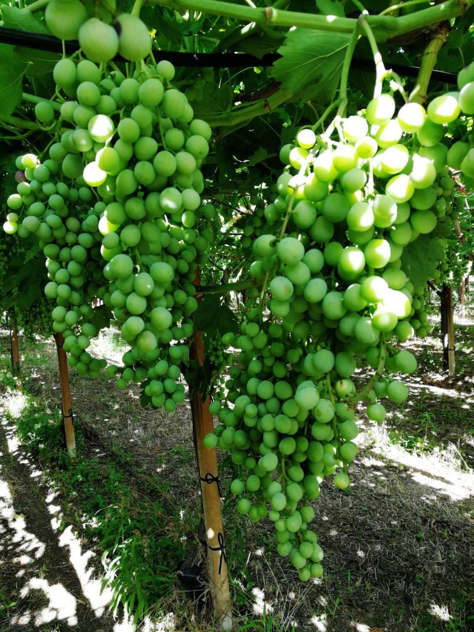 Masseria Marico Castellaneta Bagian luar foto